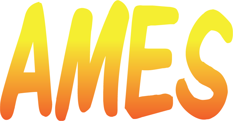 AMES – Advanced Media Entertainment Society